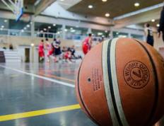 乐鱼体育-法国男篮碾压鹈鹕，西蒙斯一己之力扛起全队