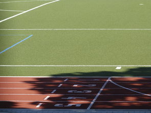 乐鱼-英国乒乓球队力克日本乒乓球队,许昕送出助攻